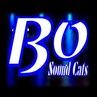 Bo Sound Cats