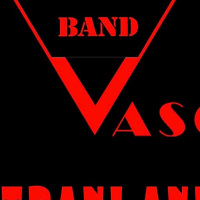 StraniAnimali Vasco tribute band