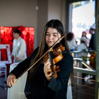 Francesca Violin