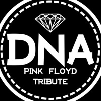 DNA Pink Floyd Tribute