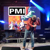 PMI Tributo Vasco, Ligabue e Negrita